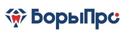 Логотип: БОРЫПРО